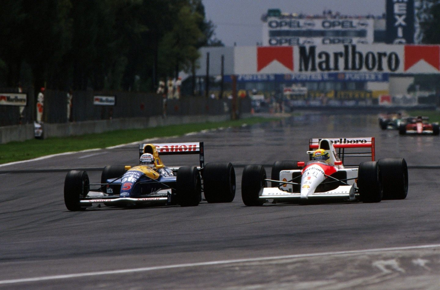 McLaren и Williams на Гран При Мексики-1992 © Formula 1