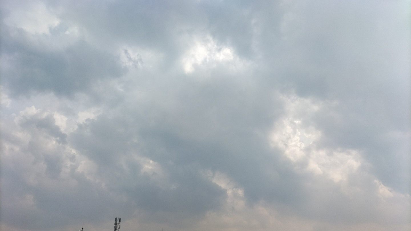 Погода в Зандворте © Соцсети