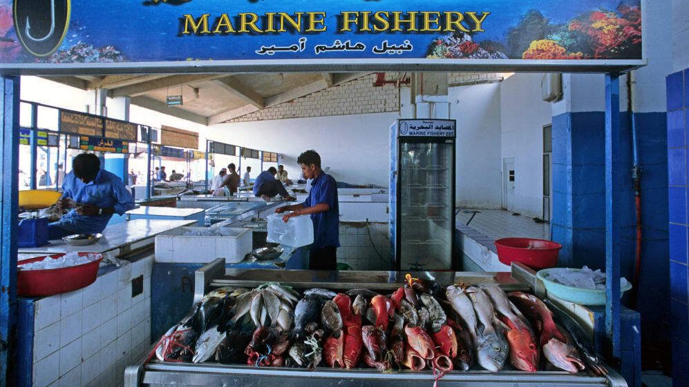 На рынке в Джидде вам предложат самую свежую рыбу © F1
