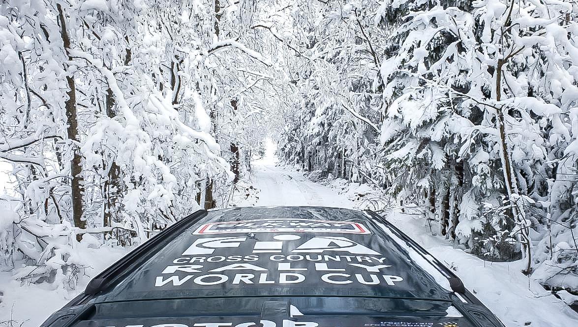 В этот раз погода для зимней гонки – лучше некуда © «Северный лес»