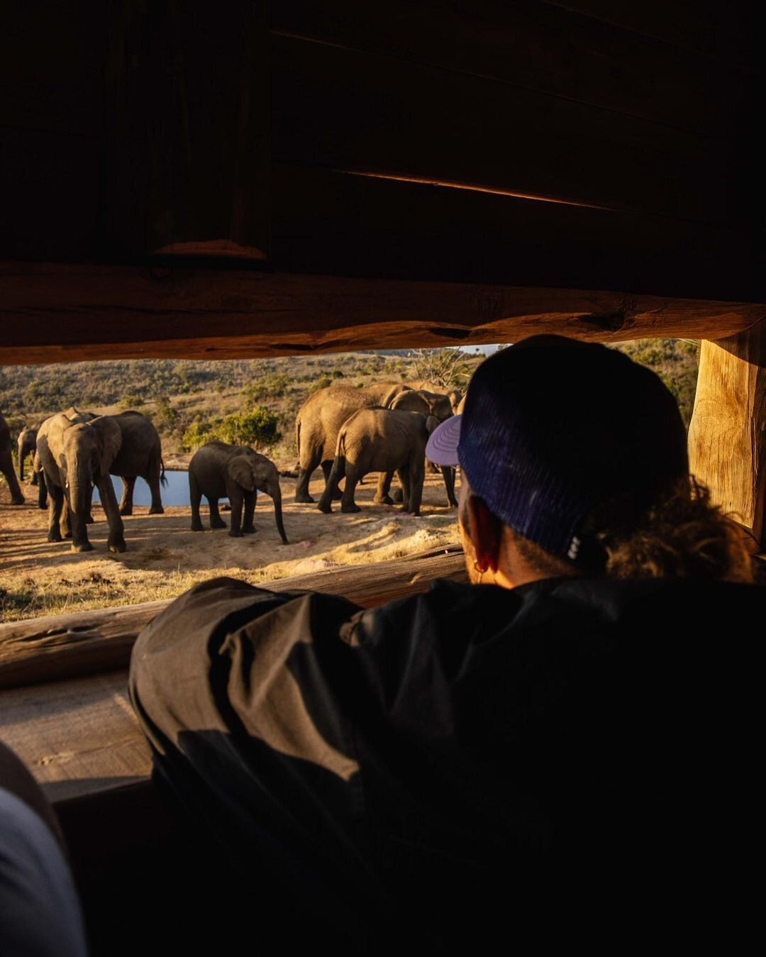 Льюис Хэмилтон в Африке © Соцсети
