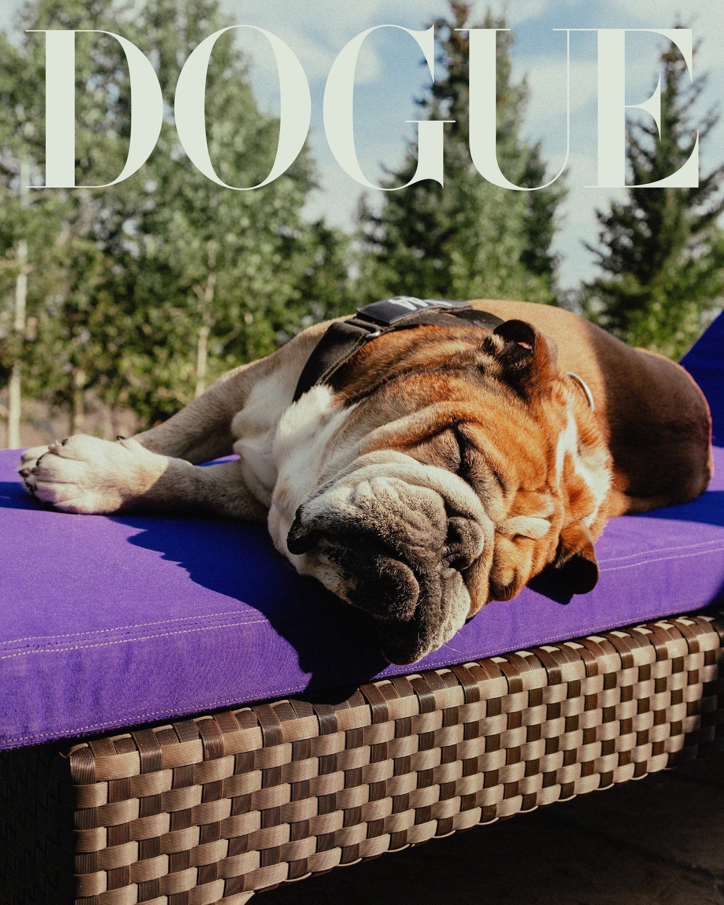 Роско на обложке Dogue © Vogue