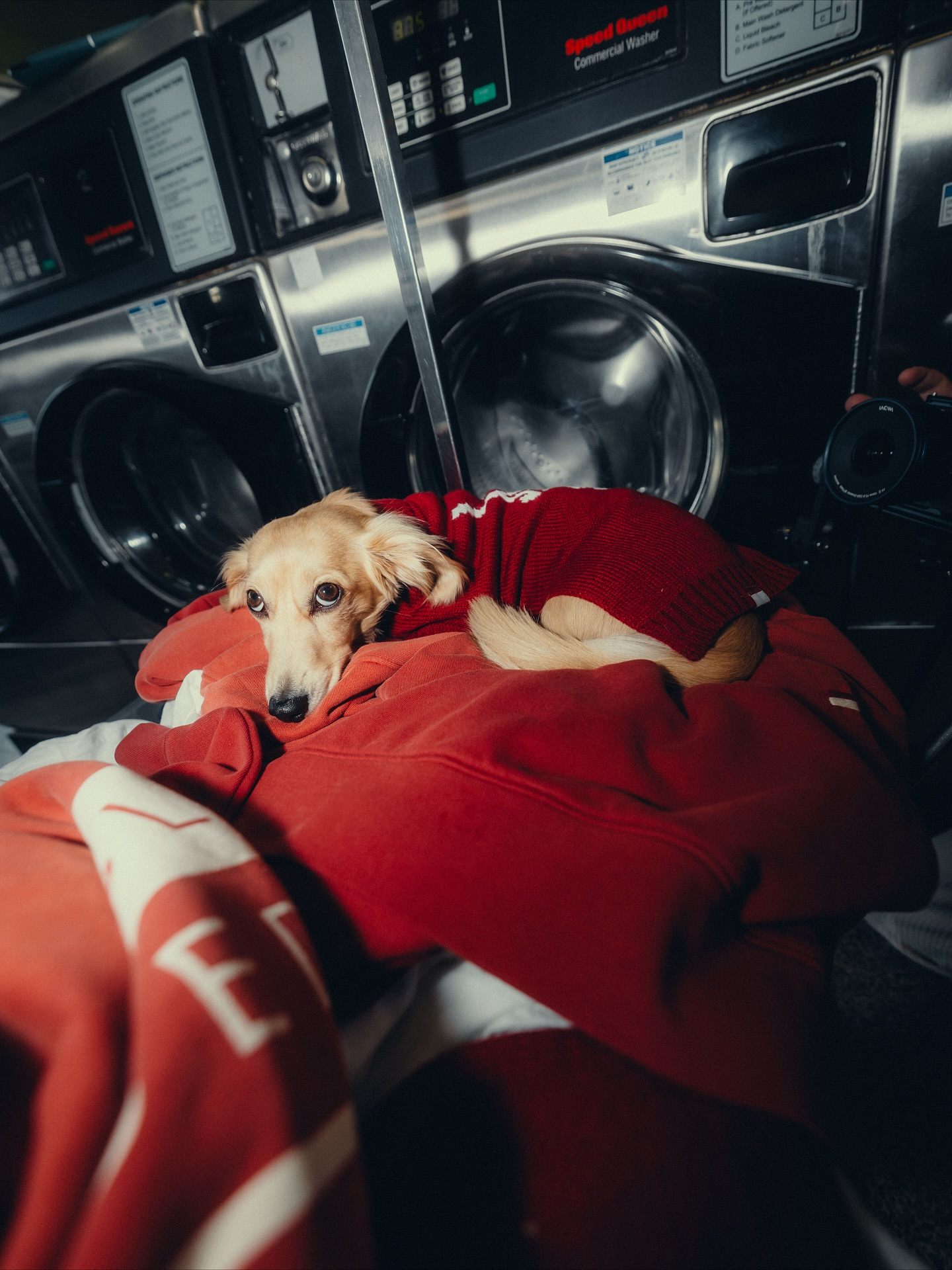 Фирменный мерч Шарля Леклера © Соцсети