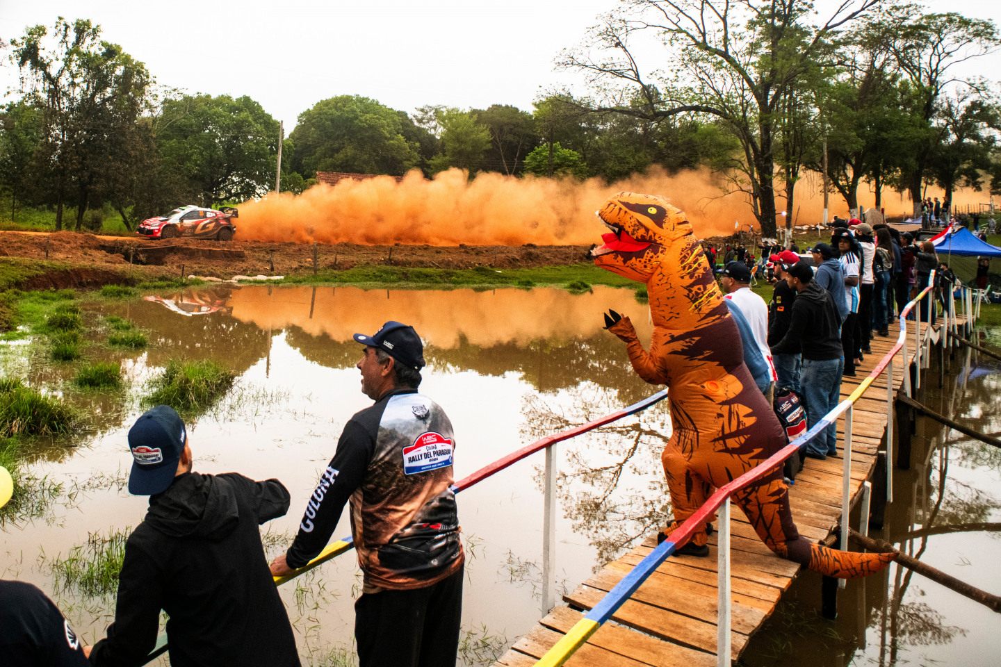 Элфин Эванс © Red Bull Content Pool