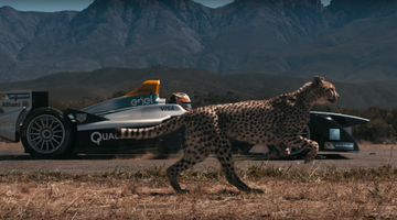 Видео: Жан-Эрик Вернь сразился с гепардом. Кто быстрее?