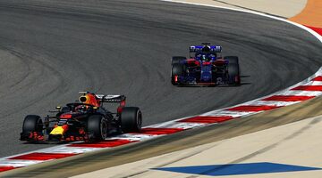 В Toro Rosso готовы продолжать жертвовать собой ради Red Bull Racing