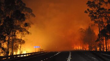 Льюис Хэмилтон пожертвует $500 000 на борьбу с пожарами в Австралии