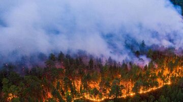 Льюис Хэмилтон обратил внимание на лесные пожары в Сибири