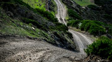 Сезон WRC завершится после шести проведённых этапов?
