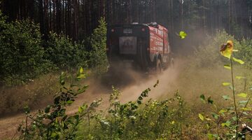 «Молодец, что отрулил». Диалог Вязовича и Николаева об инциденте