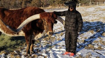 Льюис Хэмилтон завёл корову по имени… Макс